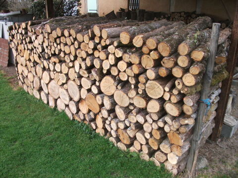 Bois de chauffage 1 Viviers-ls-Montagnes (81)