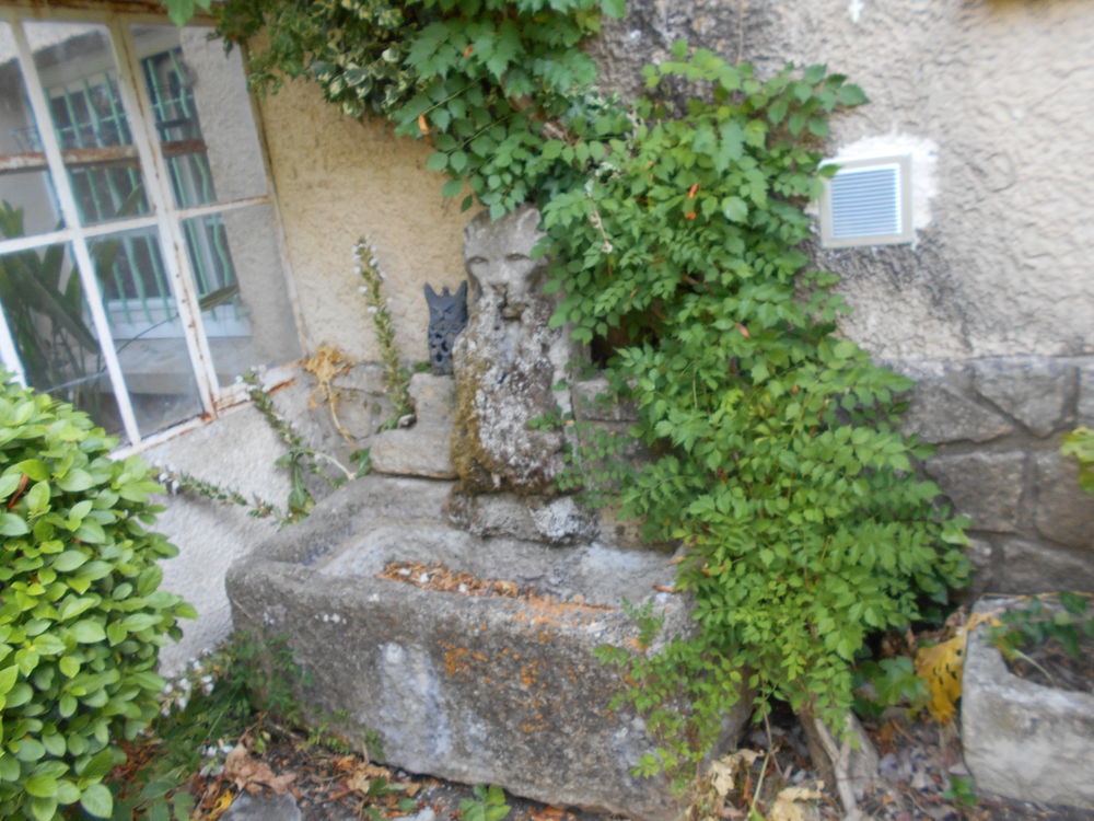 fontaine LION Jardin