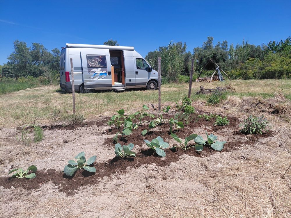 Vente Terrain Jardin , pleine nature pour verger & potager Saint-hilaire-d'ozilhan