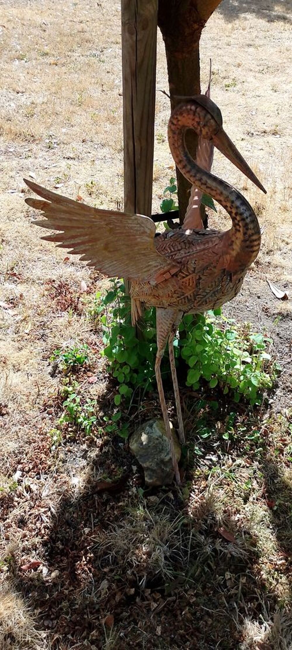 Herons de jardin Jardin
