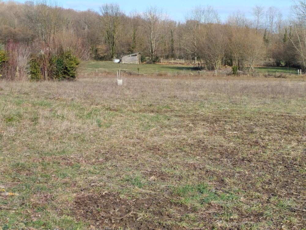 Vente Terrain Beau et grand terrain proche centre La Barthe de Neste La barthe-de-neste