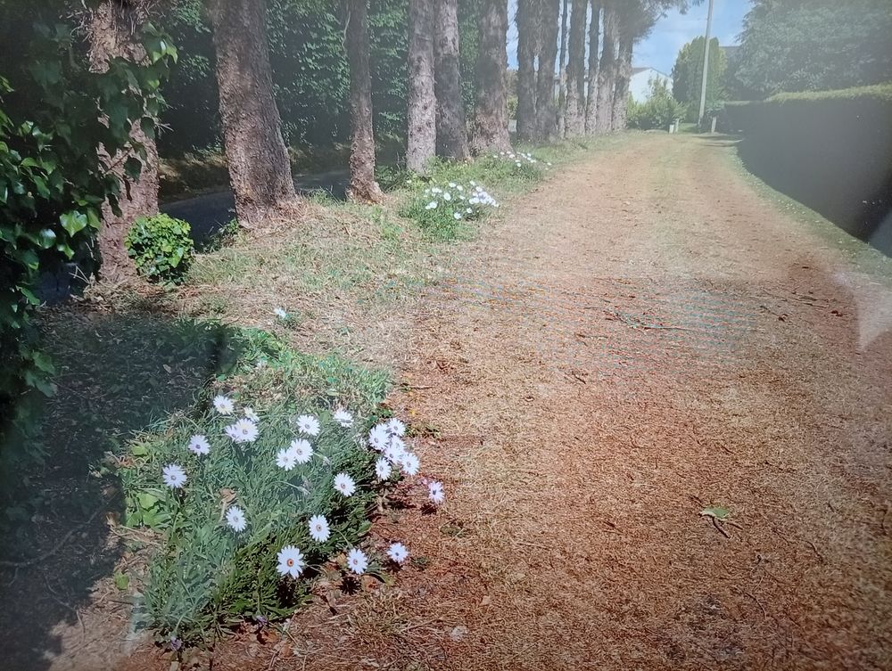 Vente Maison Maison 5 pièces Bretagne Nord Gommenec'h