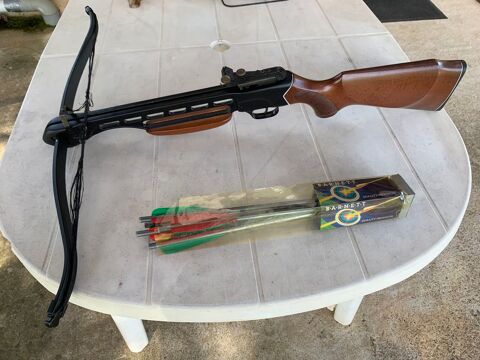 Arbal�te BARNETT veloci-speed R Glass 120 Payrignac (46)