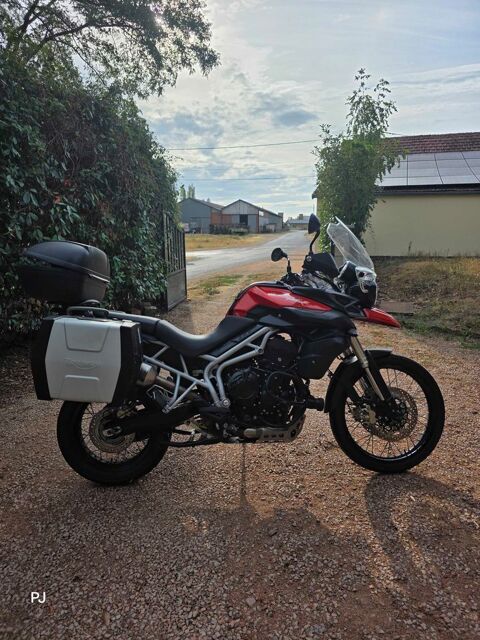 Moto TRIUMPH 2011 occasion Montmarault 03390