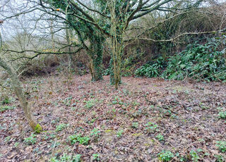  Terrain � vendre 3267 m�