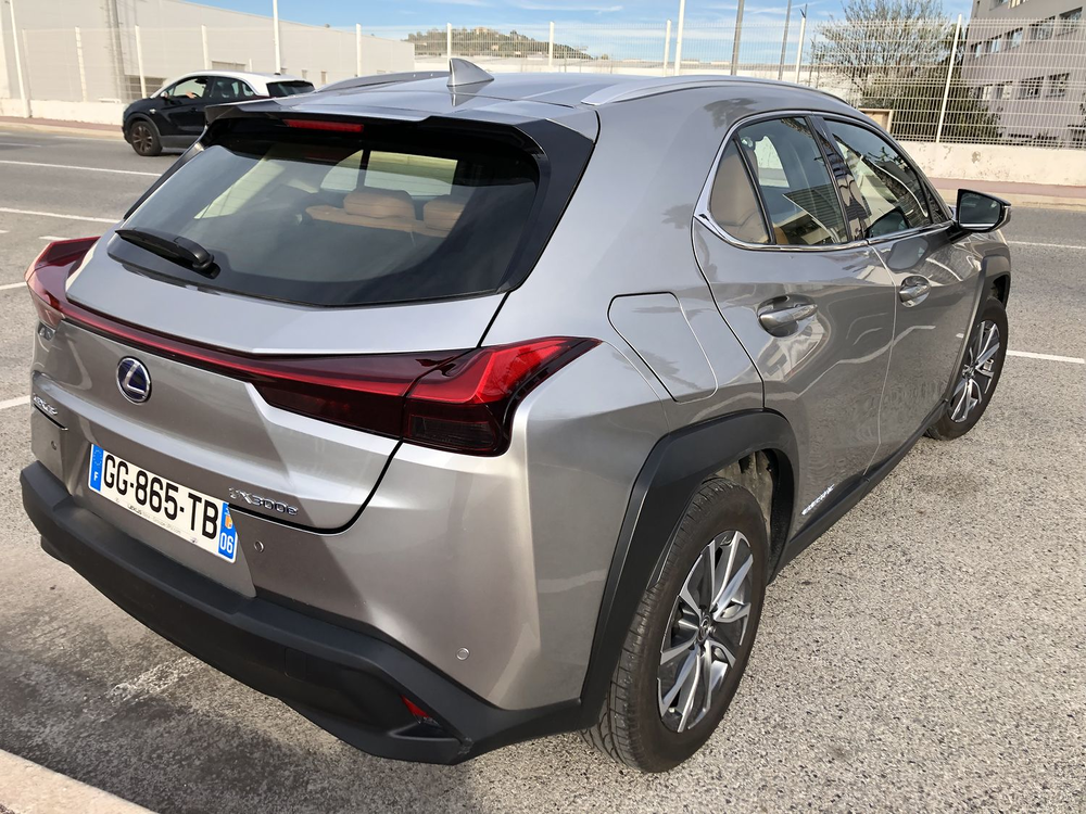 UX 300e Luxe 2022 occasion 06000 Nice