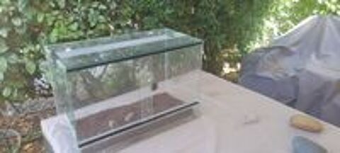   Terrarium 