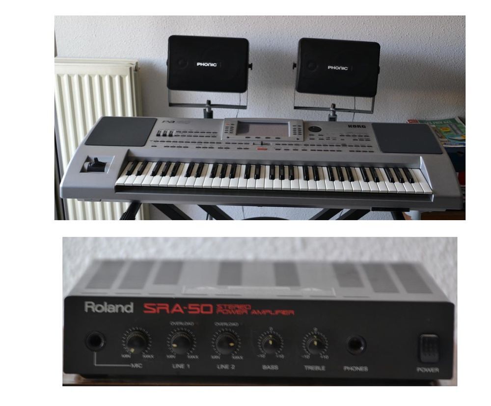 arrangeur clavier KORG PA80+plus ampli+enceintes+valise de t Instruments de musique