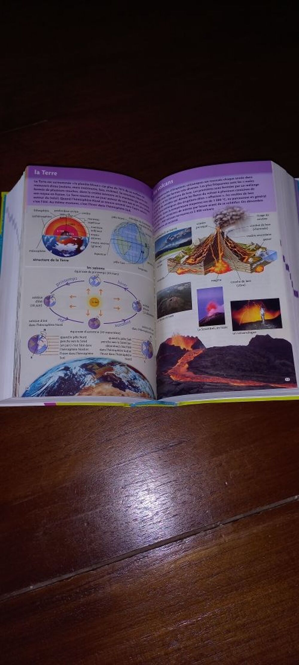 dictionnaire petit Robert junior Livres et BD
