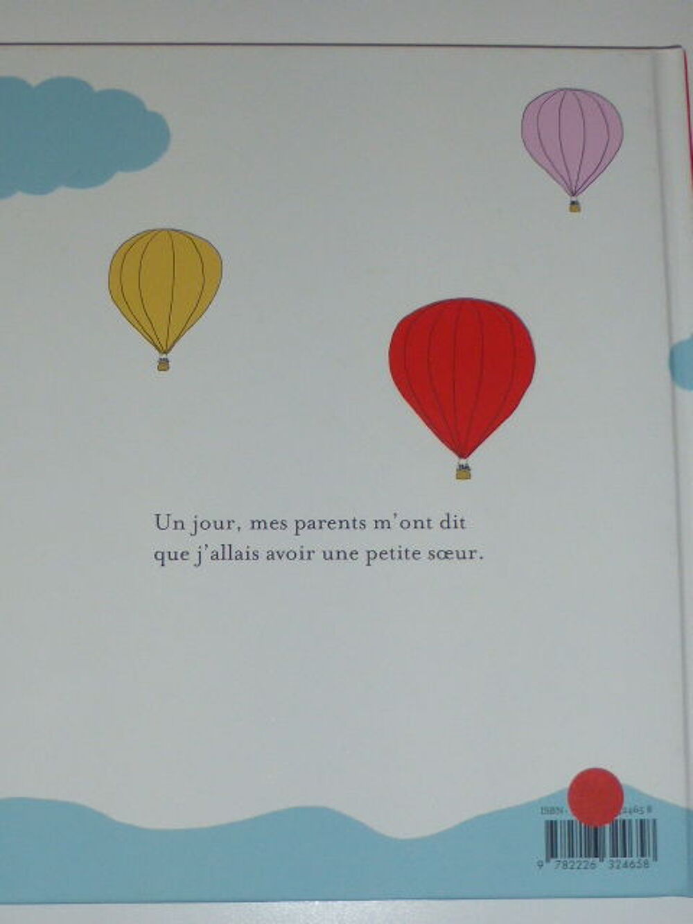 Un amour de petite soeur Astrid Desbordes Livres et BD