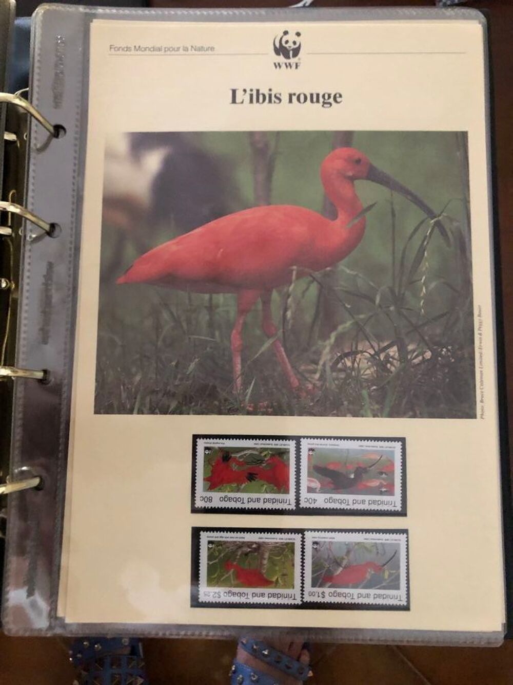 timbres de collection 