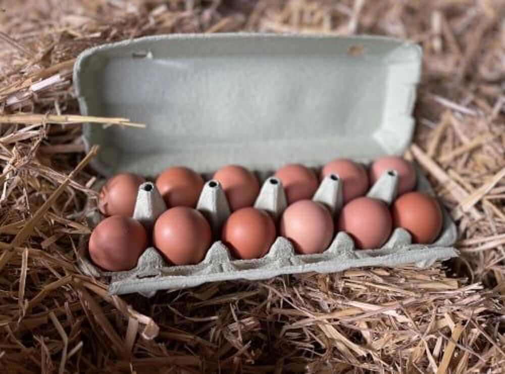Oeufs Cuisine
