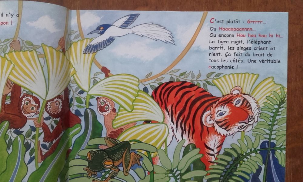 Livre pour enfant
- Coco et la cacophonie Livres et BD