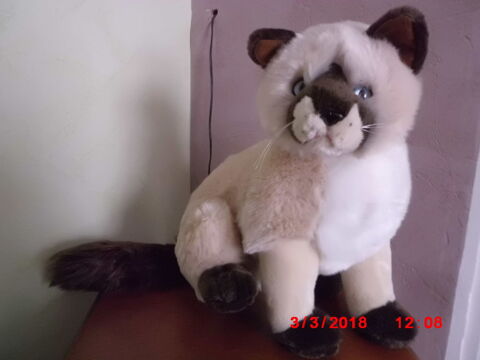 PELUCHE CHAT SIAMOIS GIPSY 16 Oignies (62)