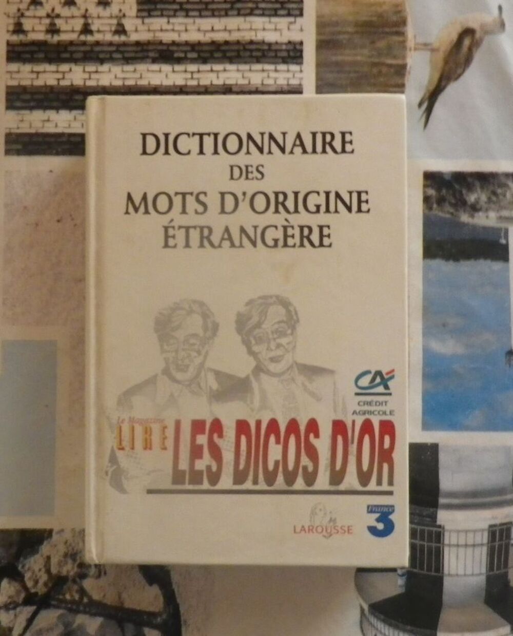DICTIONNAIRE DES MOTS D'ORIGINE ETRANGERE Ed. Larousse Livres et BD