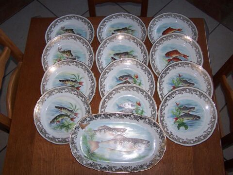 service a poisson porcelaine 80 Saint-Saturnin (51)