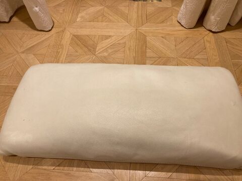 Coussin cuir 15 Annecy (74)