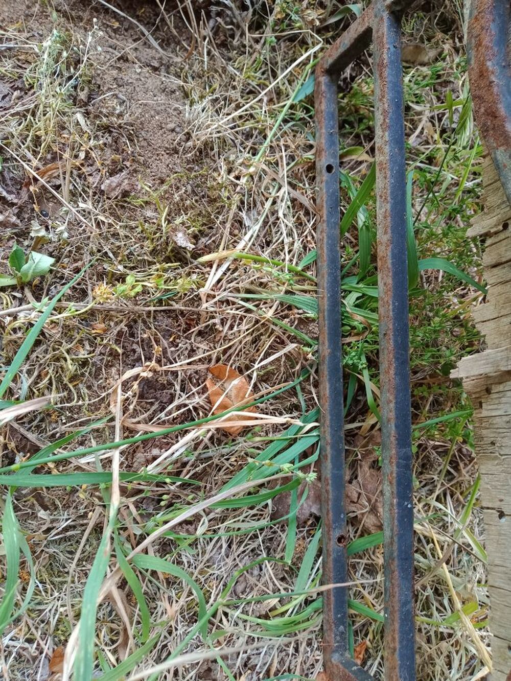 30 grilles fer forg&eacute; pr&eacute;perc&eacute;es 31 * 26cm Bricolage
