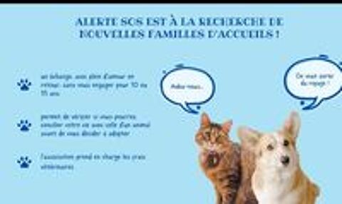   ALERTE SOS RECHERCHE DES FAMILLES D'ACCEUIL  