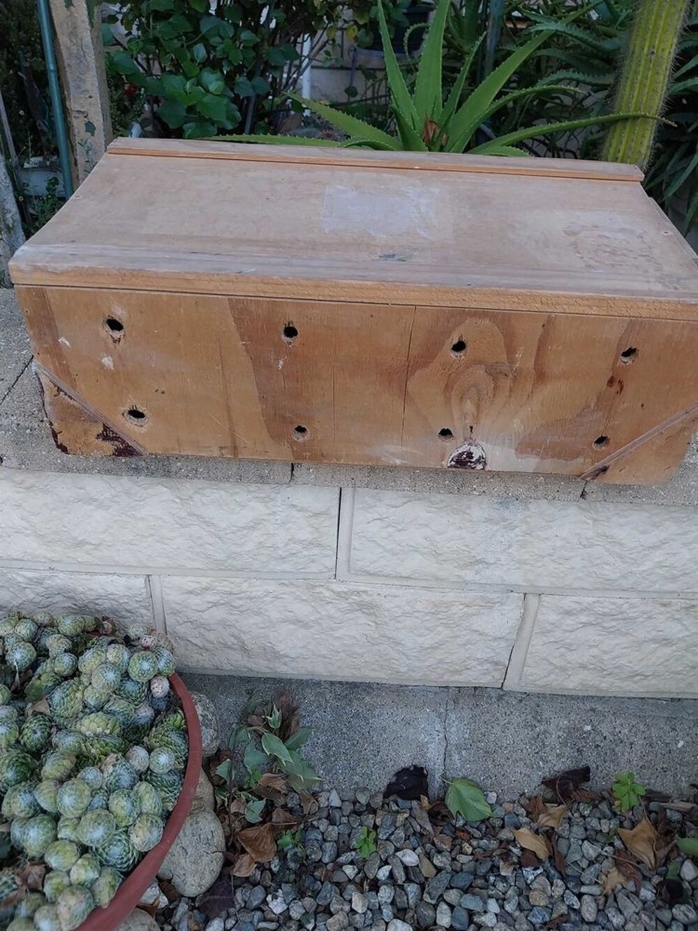 cage de transport pour animaux Bricolage