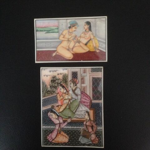 Peintures miniatures indiennes 500 Nimes (30)