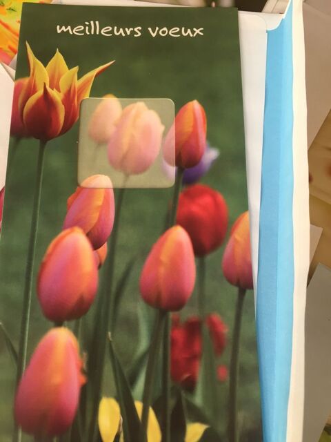 Cartes de correspondance 3 Soissons (02)