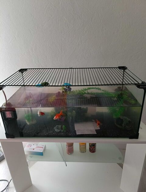 AQUARIUM 60 LITRES COMPLET 40 Tarbes (65)
