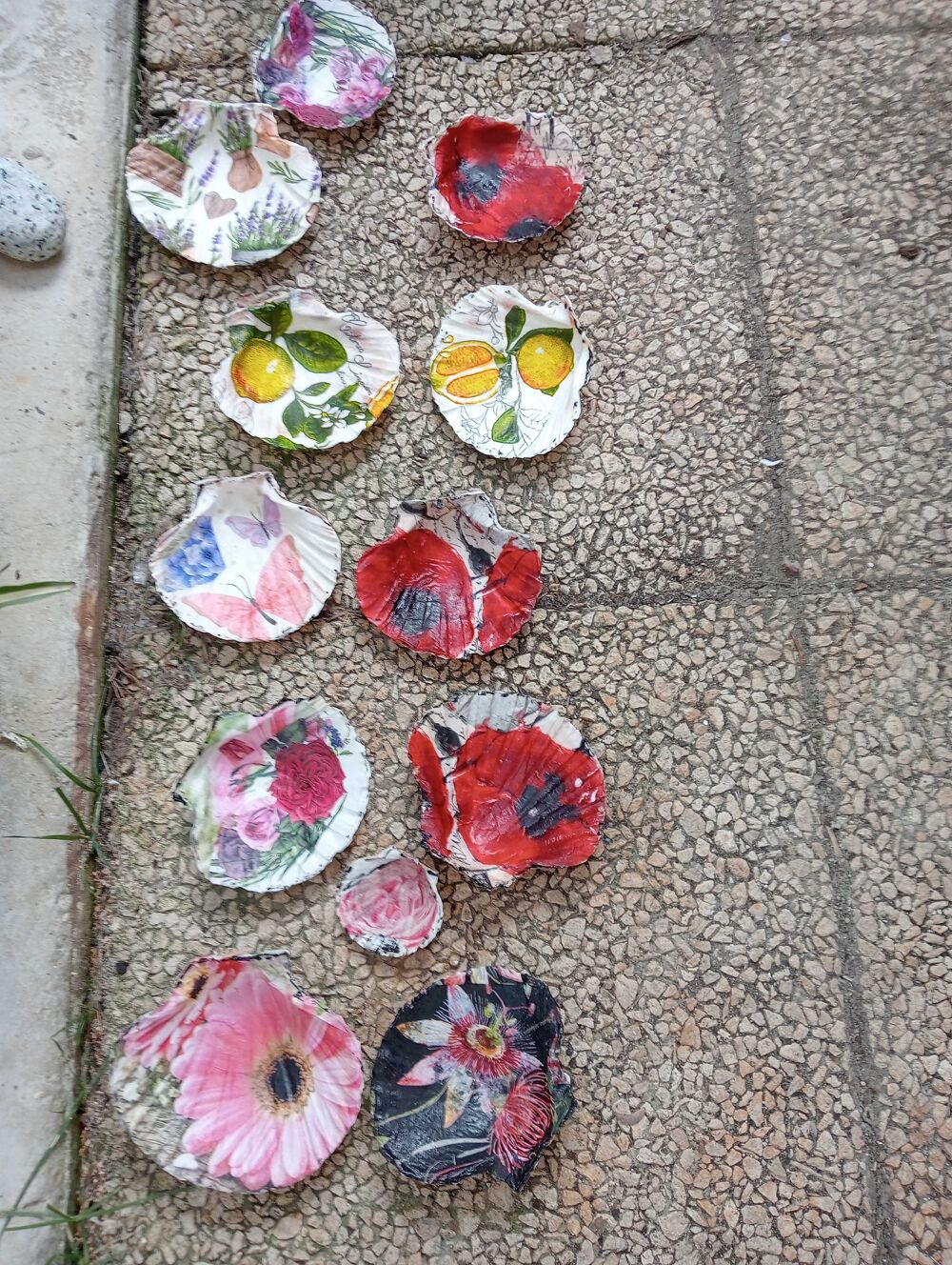 coquilles st jacques Décoration