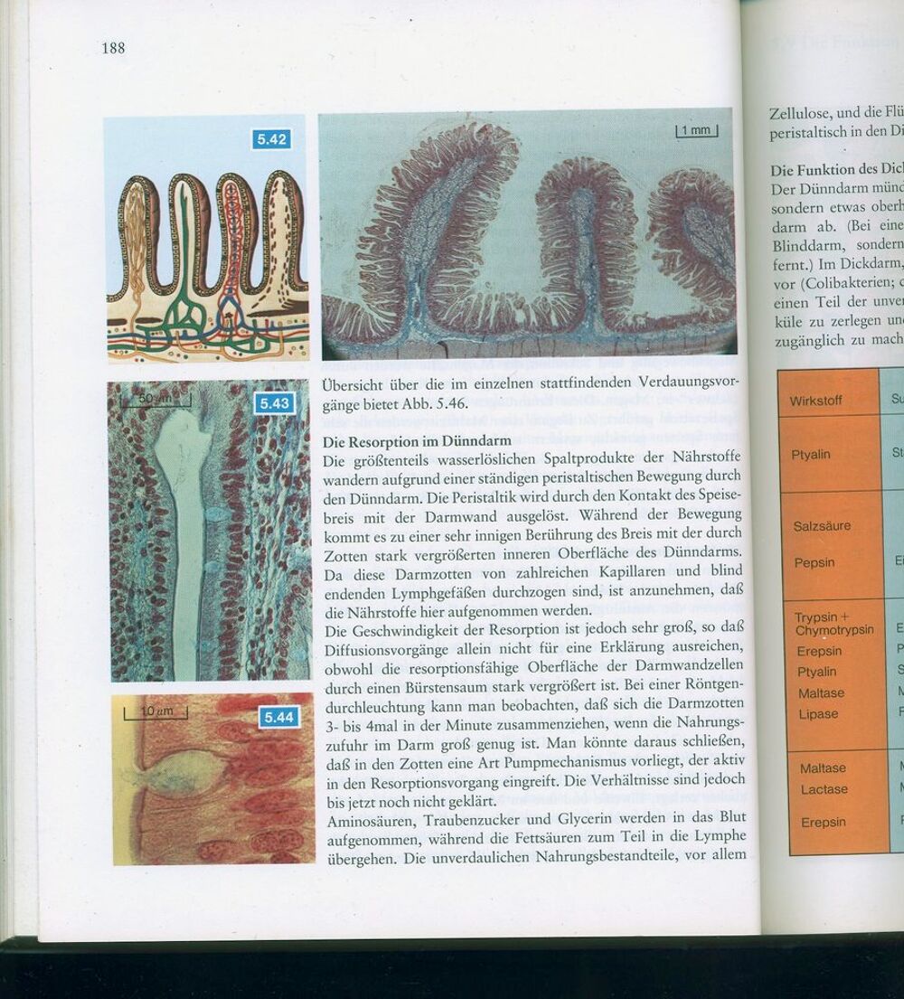 Einf&uuml;hrung in die
BIOLOGIE
Biologie des Menschen
1973 Livres et BD