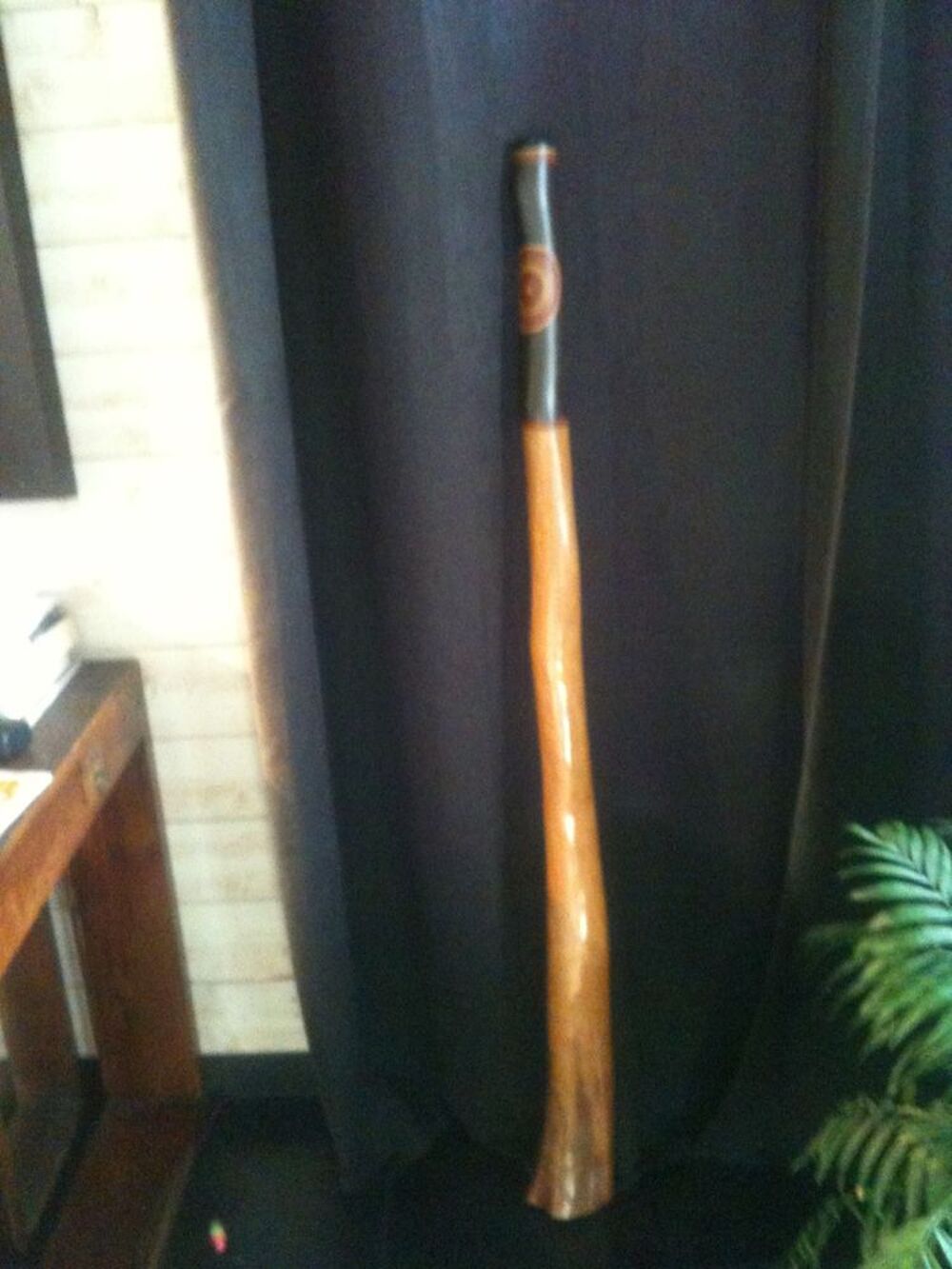 Didgeridoo Australien Instruments de musique