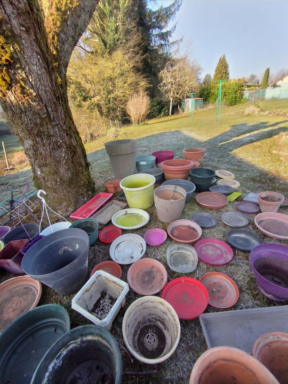 pots de fleurs Jardin