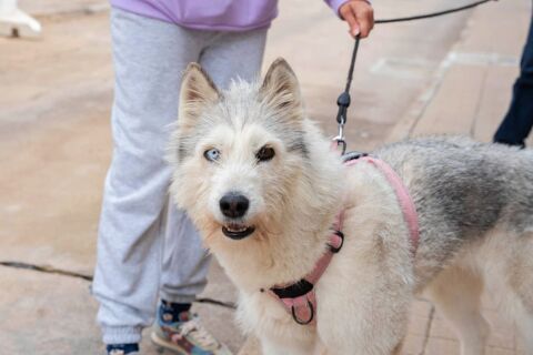 NALA 95610 ragny