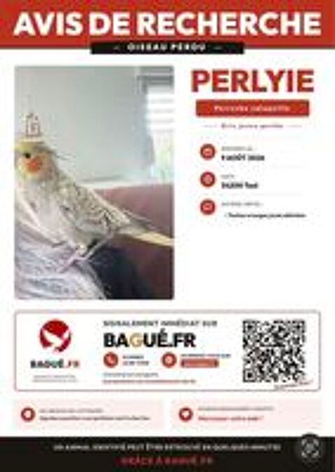   Perdue Calopsitte.  