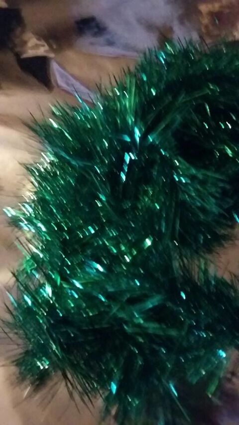 guirlande  noel 1 Ch�teauroux (36)