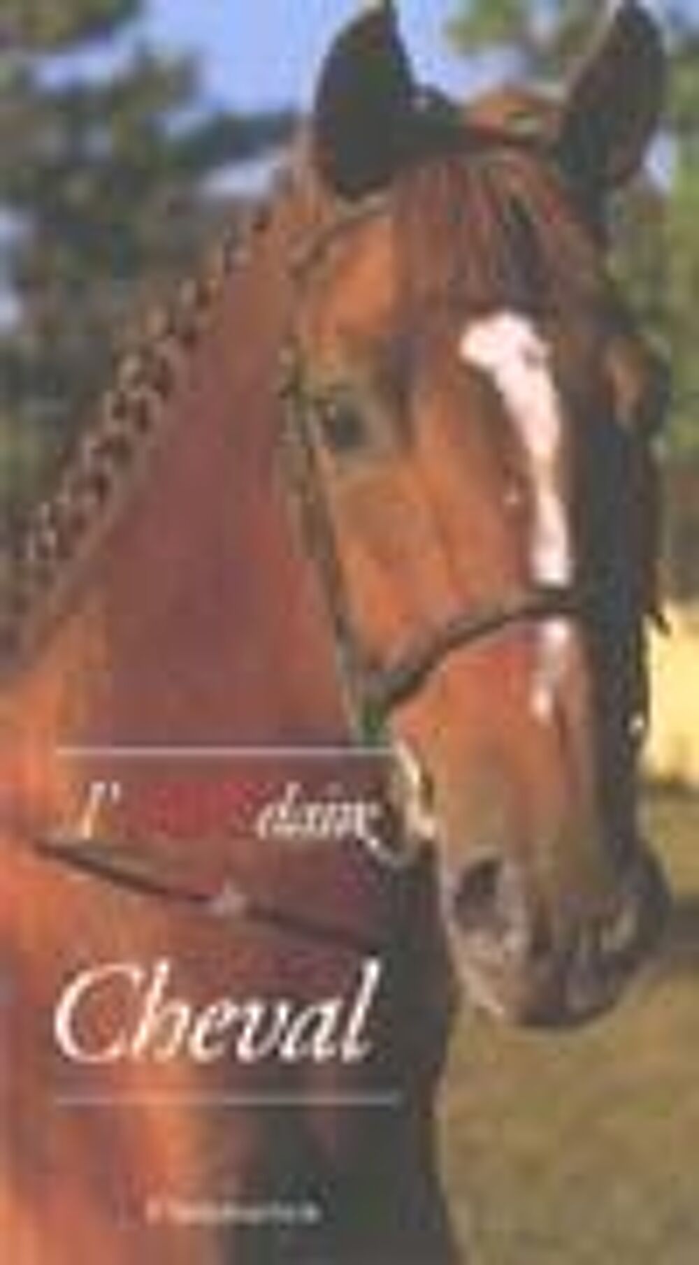 Abcdaire - t78 - l'abcdaire du cheval Livres et BD