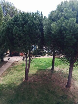  Appartement � louer 2 pi�ces 52 m�