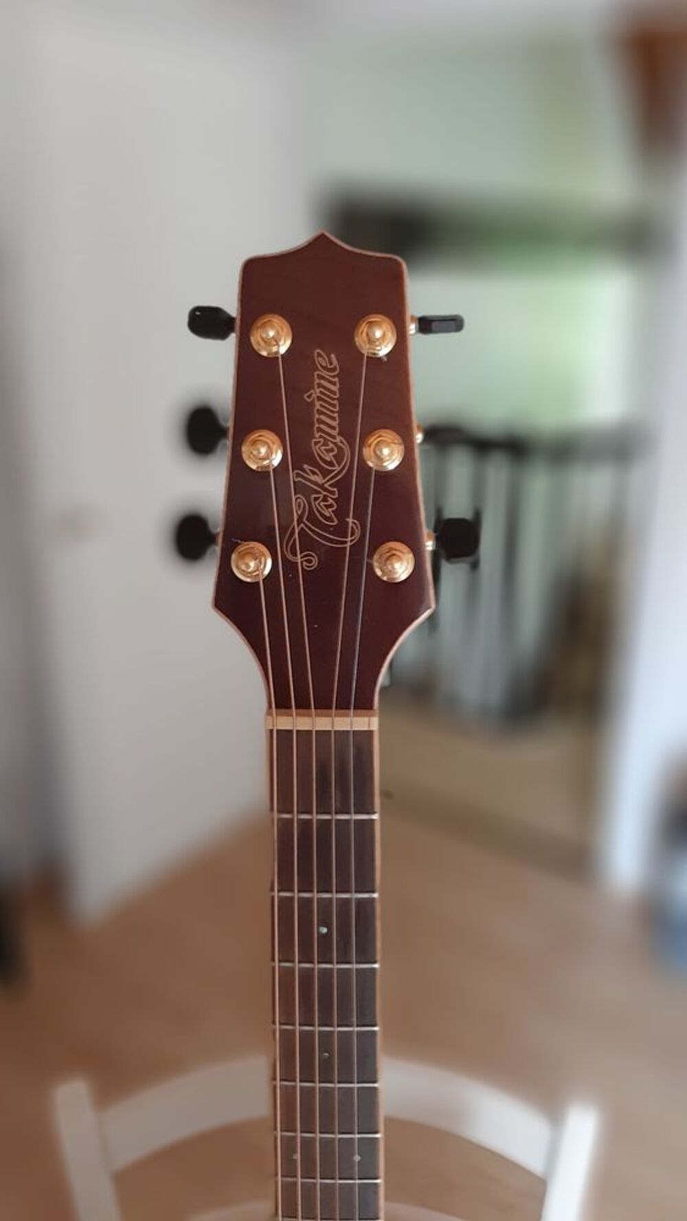 av guitare TAKAMINE Instruments de musique