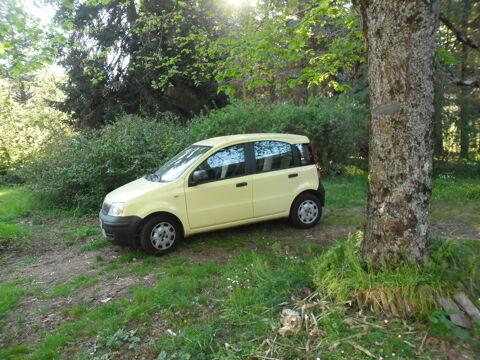 Fiat Panda MY 1.2 8V 69 ch Dynamic 2011 occasion Carcassonne 11000