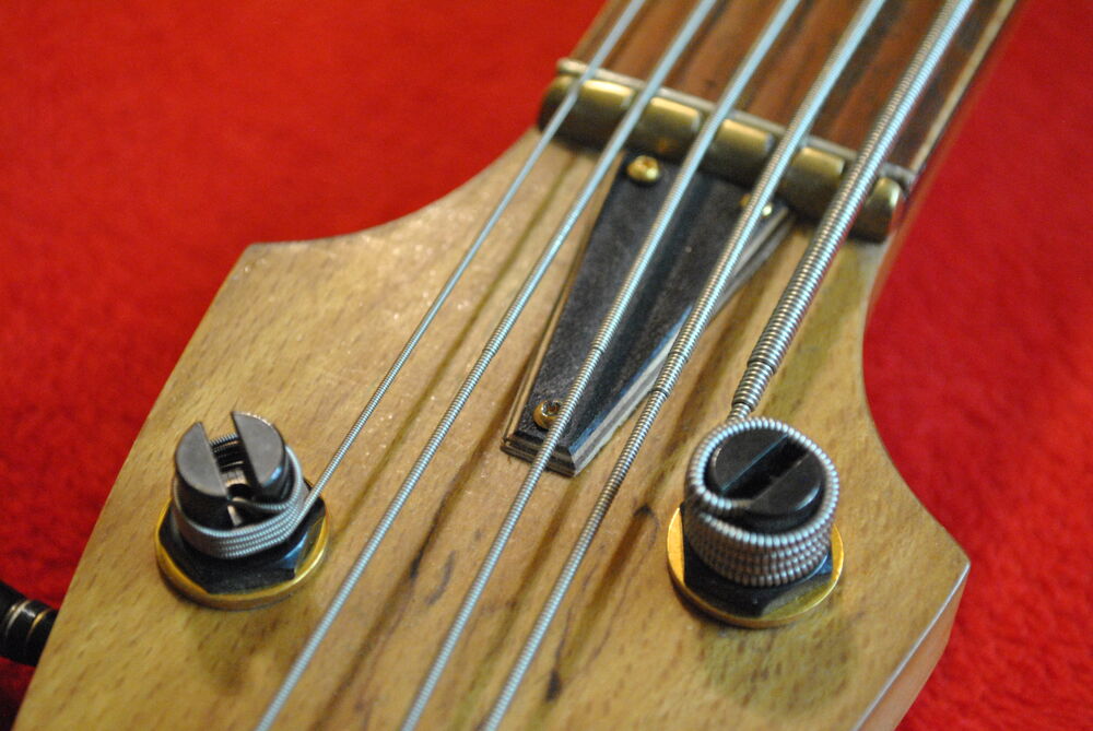 Basse 5 FK Bass 5 cordes Instruments de musique