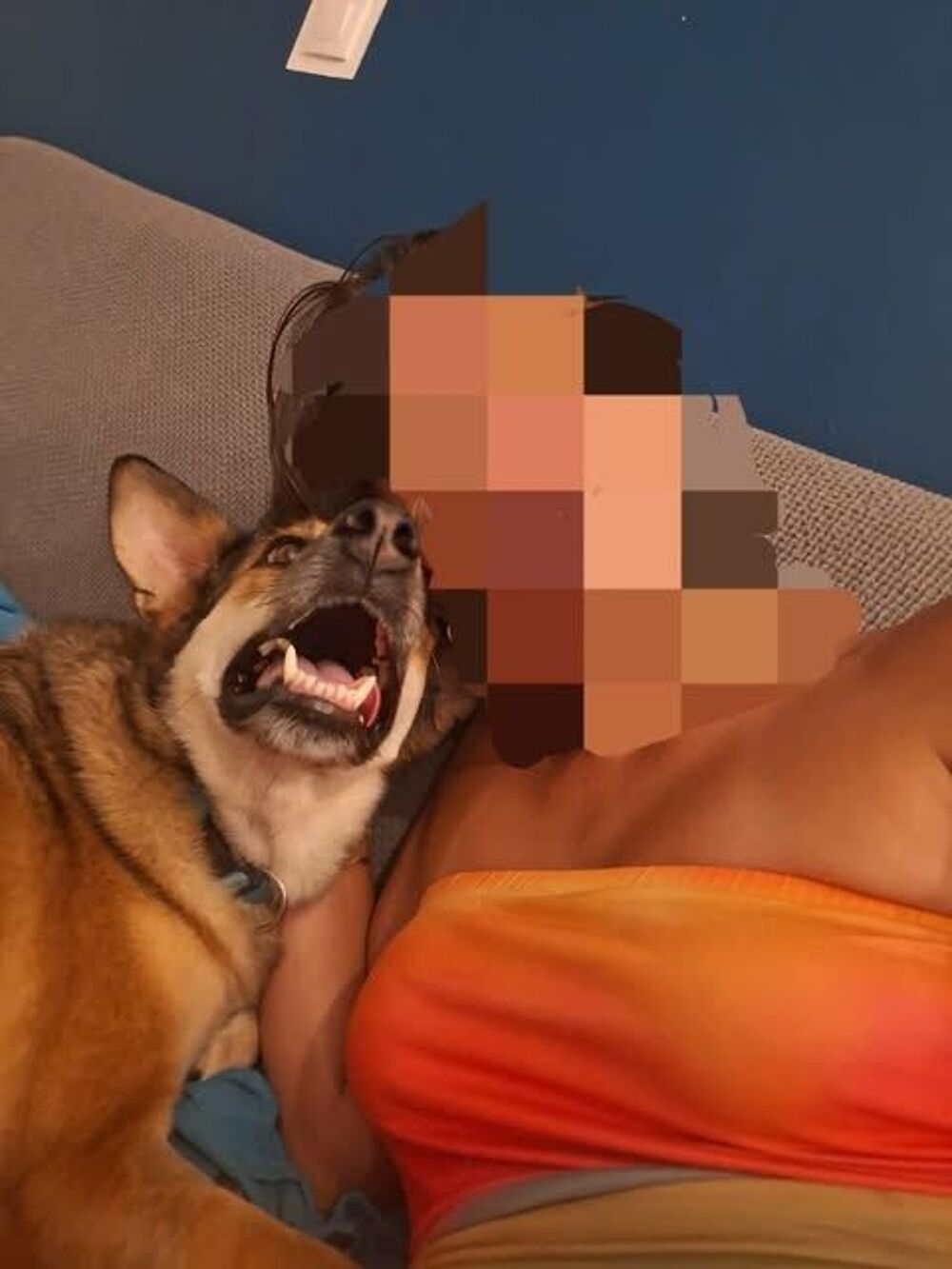   Mon Nom Demoiselle 