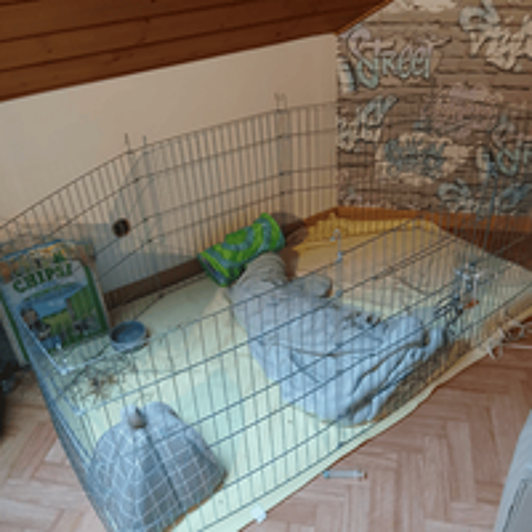   Parcs enclos galvanisés extensibles pour lapins ou chiens 