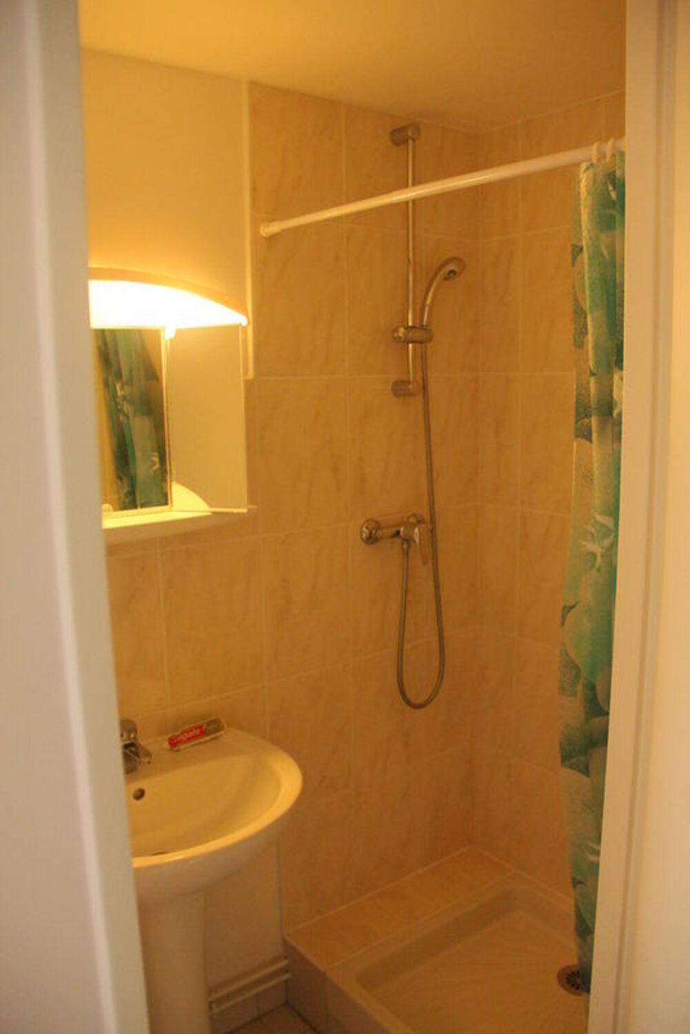 Location Appartement STUDIO-MEZZANINE 30M² Vitry-sur-seine