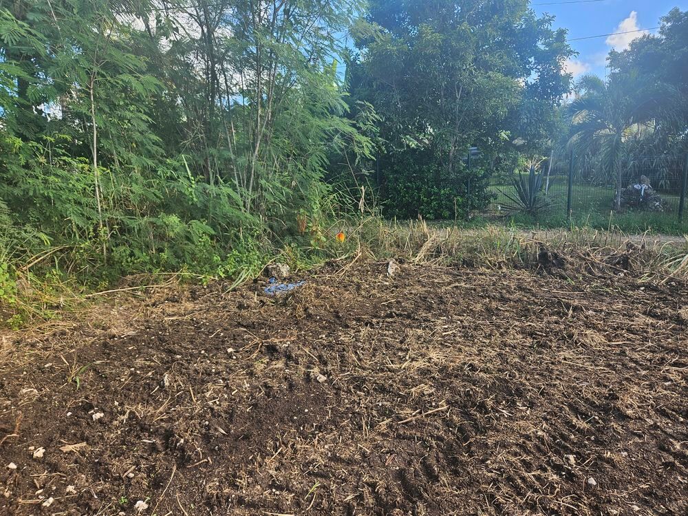 Vente Terrain Terrain plat a fort potentiel Le moule