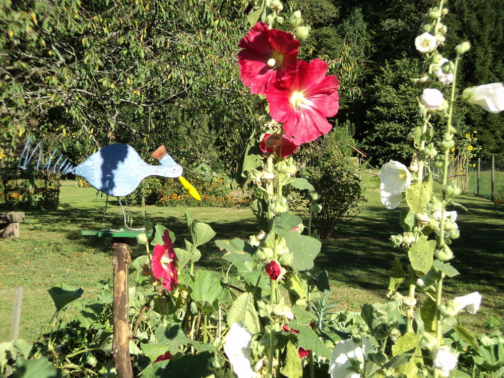   Gite 5 personnes Franche-Comté, Raddon-et-Chapendu (70280)