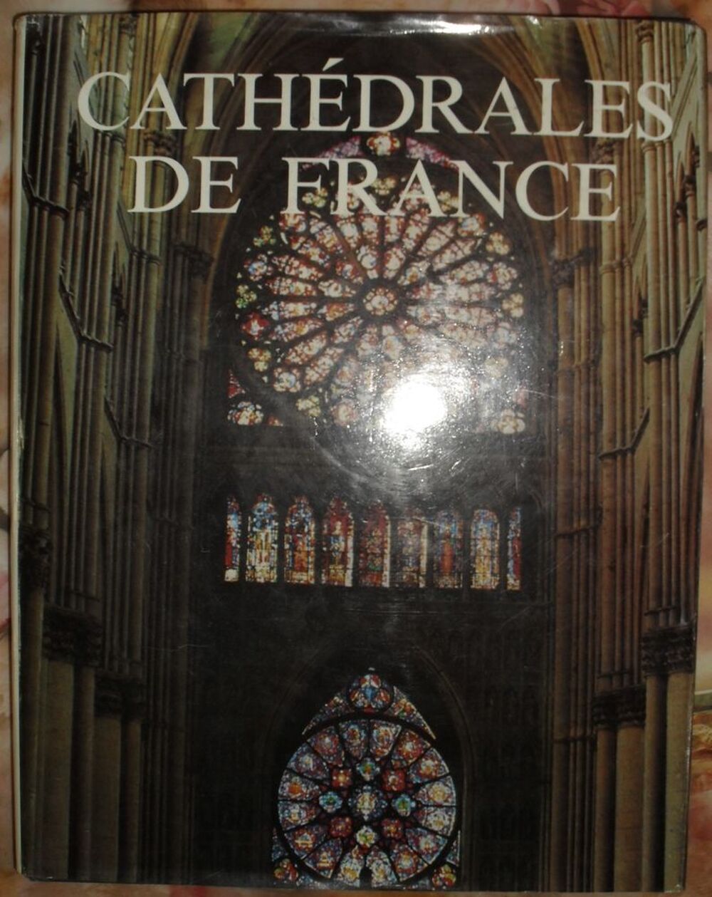 Cath&eacute;drales de France: l'Epop&eacute;e des Cath&eacute;drales. Livres et BD