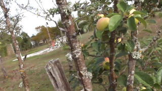  Maison � vendre 3 pi�ces 65 m�