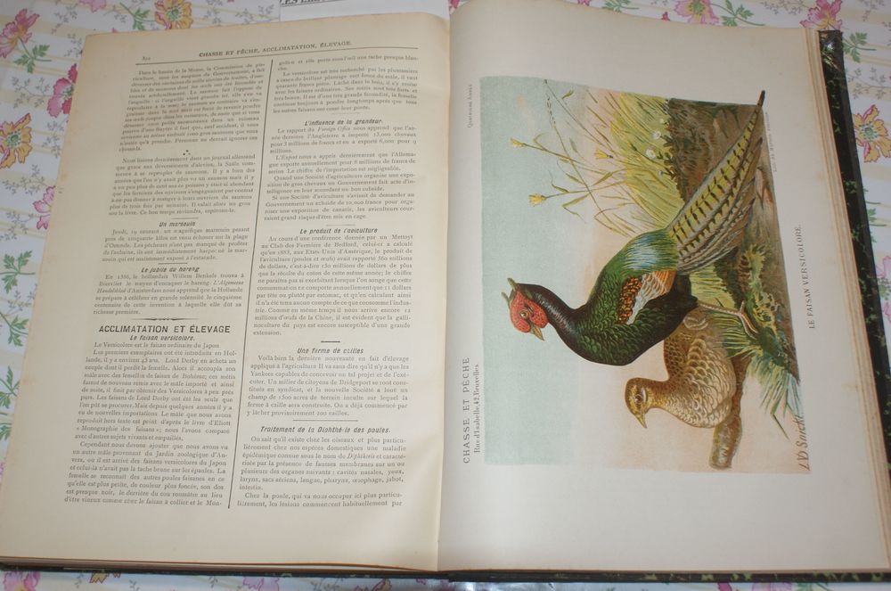Chasse et p&ecirc;che 1885/86 Livres et BD