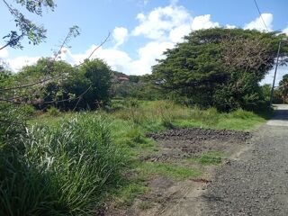  Terrain � vendre 702 m� Le vauclin