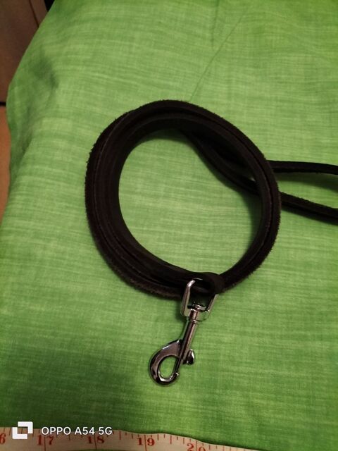 Laisse pour chien  0 77280 Othis