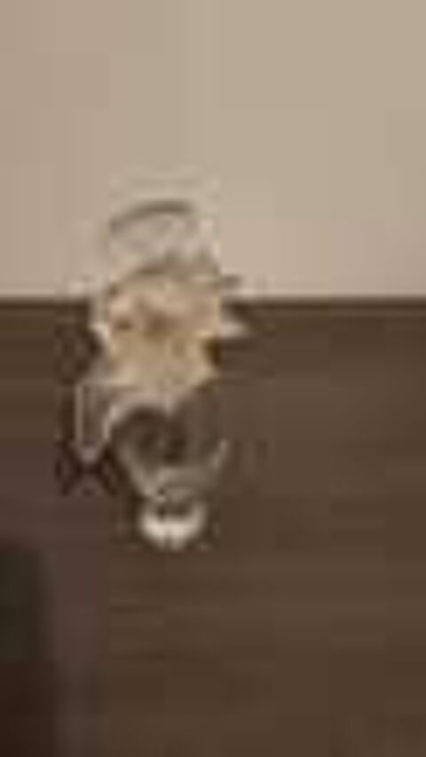 Flacon parfum factice vide 50ml cristal Ancien Nina Ricci 